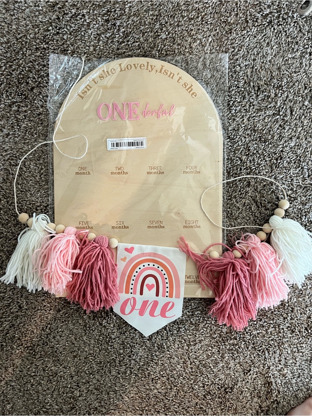 Pink & Cream First Birthday Milestone Photo Banner